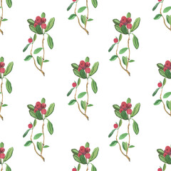 Lingonberry watercolor seamless pattern on white background.Bright fall,Christmas minimalist prints with cranberries.Designs for wrapping paper,scrapbook paper,packaging,social media,textiles,fabric.