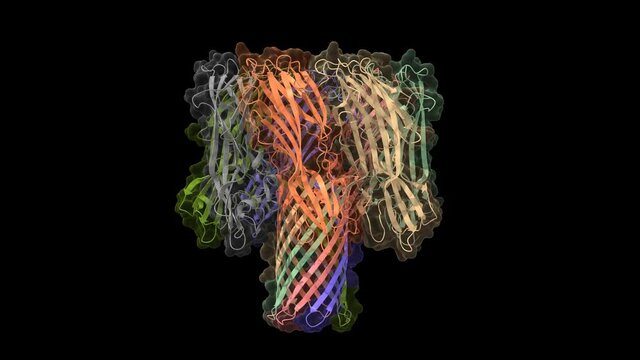 Crystal structure of alpha-hemolysin, animated 3D cartoon and Gaussian surface models  in two purpendicular projections, chain id color scheme, based on PDB 3anz, black background