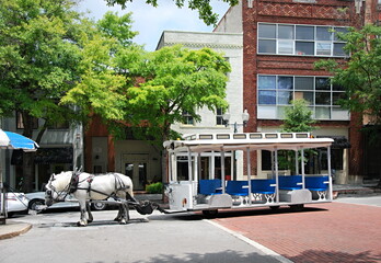 Kutsche in der Altstadt von Wilmington, North Carolina © Ulf