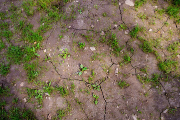 Mud (dried clay) as natural background.
