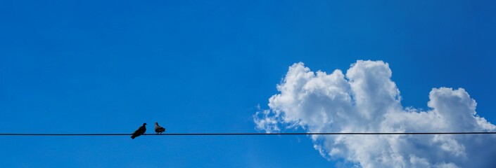 white fluffy clouds in the blue sky.
