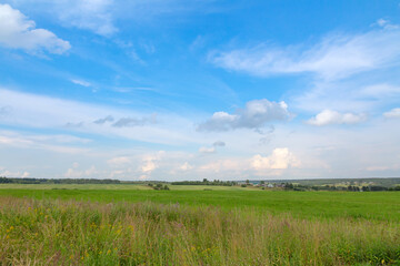 Fototapeta na wymiar Green field and sky. Rural summer landscape with fields and small houses and forest in the distance