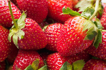 Fresh organic Strawberry fruit background