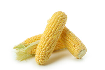 Fresh raw corn isolated on white background