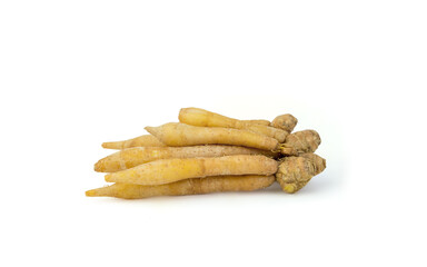 fresh white galingale(finger root, Krachai)  Thai herbs to prevent covid-19   isolated on white background