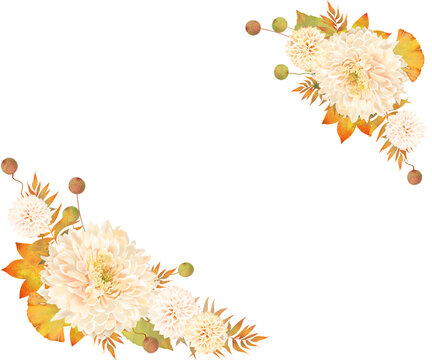 白椿 Images Browse 219 Stock Photos Vectors And Video Adobe Stock