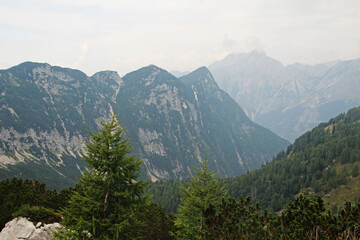 Obraz premium The Trenta Valley, Triglav National Park, Slovenia