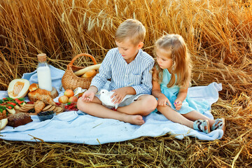 A boy and a girl on a picnic in a field of wheat. Children hold a white dove in their hands. The concept of happiness and peace.