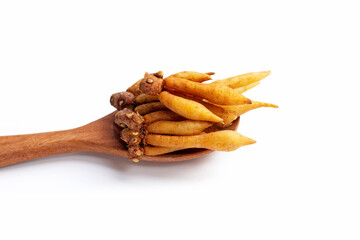 Finger root on a white background.