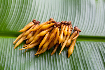 Finger root on banana leaf background.