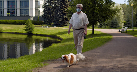 Senior man in safety mask walk with spaniel in summer park