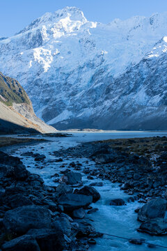 New Zealand Nature