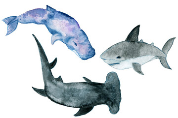 Watercolor cute colorful fish. Whales, sharks, narwhal.Marine life, plants, algae, reeds.Shells and pearls. Bright water lilies.Octopus and turtle. Illustrations for children, prints , stickers.