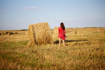 Naklejka na ściany i meble Portrait of beautiful young woman with long hair in floral dress in the summer field near haystacks on sunset.