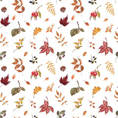 Fall leaves, berries, plants seamless pattern. Watercolor autumn botanical print. Natural artistic wallpaper with white background.