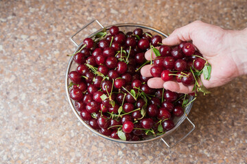 Ripe fresh cherries berry in man hand, top view