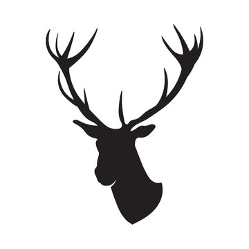 Deer head with antlers, silhouette. Vector illustration isolated on white background, EPS 10
