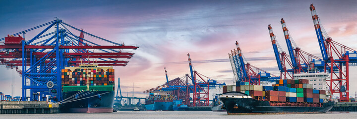 Containerterminal im Hamburger Hafen mit Schiffen und Kränen