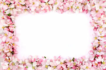 Spring apple blossom flower decorative background border on white. Springtime, Easter, nature, beauty, concept. On white with copy space, top view, flat lay.