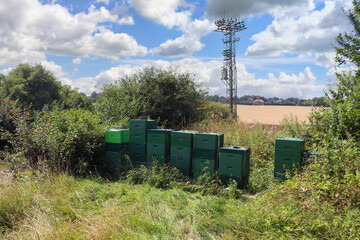 Fototapety na wymiar - Fototapeta24.pl