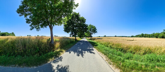 Fototapety na wymiar - Fototapeta24.pl