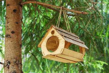 A wooden birdhouse hangs on a tree in a pine forest on a sunny summer day.