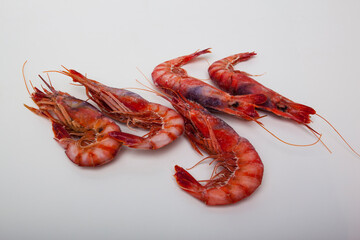 photographs of frozen fish of all kinds and variety