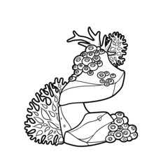 Corals and sponges grow on stone coloring book linear drawing isolated on white background
