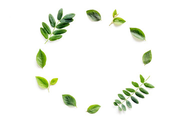Frame of green leaves and branches on white. Overhead view