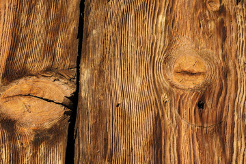Old wooden board with Timber Knot for Background or Texture