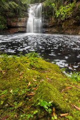 mossy ground in front of a large waterfall