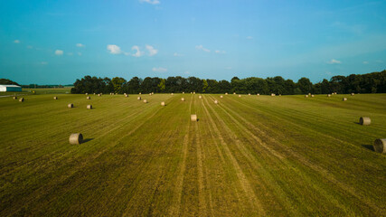 A bird's-eye view of a field with haystacks. High quality photo