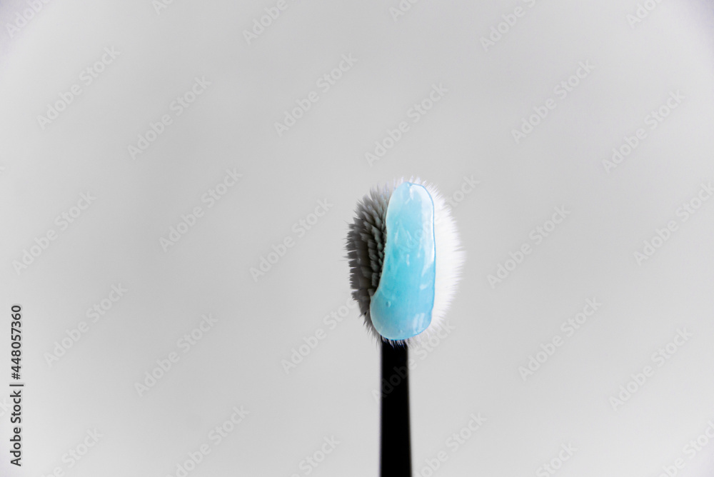 Wall mural make up brush