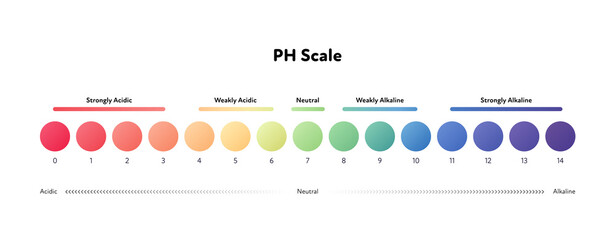 Ph scale infographic. Vector flat healthcare illustration. Color meter with number and text from strongly acidic to alkaline. Design for pharmacy, health care, cosmetology