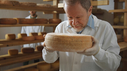 Smiling adult milky farm worker smelling big cheese round closeup. Healthy nutrition concept. Countryside farming eco business trend. Macro shooting. Milk products industry.