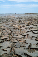 sandy soil cracked by time
