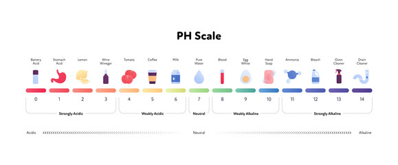 Ph scale infographic. Vector flat healthcare illustration. Color meter with number, text and sample item color icon from acidic to alkaline. Design for pharmacy, health care, cosmetology - obrazy, fototapety, plakaty