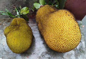 durian on the market
