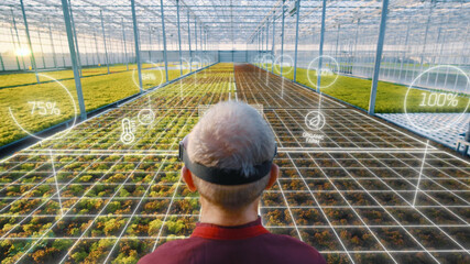 Back view of adult man farmer with VR glasses checking harvest in modern sunny greenhouse. Farming...