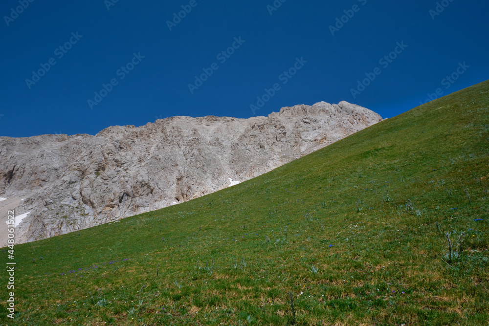 Wall mural meadow and mountainous contrast of the summit of the gran sasso abruzzo