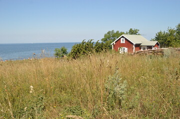 Fototapeta na wymiar The flora and fauna in the landscapes of Öland in Kalmar region of Sweden, Scandinavia