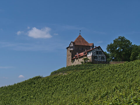 Beautiful view of historic medieval castle Burg Wildeck in Baden-Württemberg, Germany, located on the top of a vineyard hill with green leaves, in summer on sunny day with blue sky.