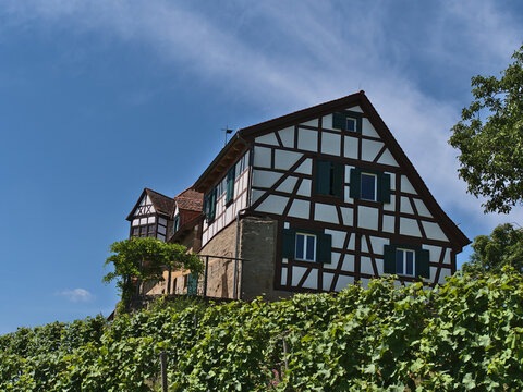 View of old half-timbered building, part of castle Burg Wildeck (construction ca. 12th century) in Abstatt, Baden-Württemberg, Germany on sunny summer day with green vineyards in front.