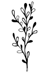 Hand drawn branch with leaves.