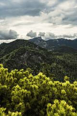 mountain panorama view