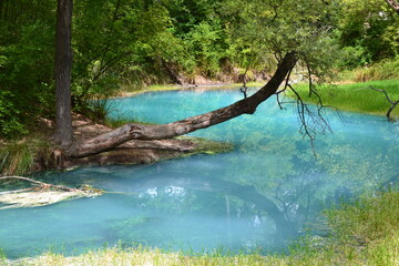 le azzurre acque sulfuree e i suoi riflessi (Parco Lavino) 