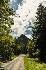 mountain panorama view