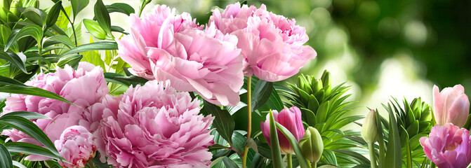 Bunch of pink peonies on a blurred botanic background