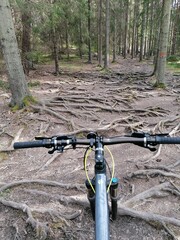 The stunning islands, nature and landscapes of Stockholm's Skärgård / Archipelago in Sweden