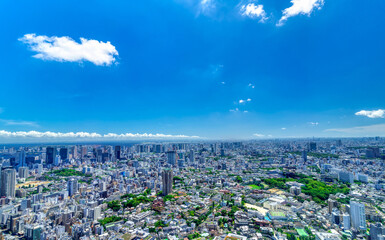東京風景　2021年　青空と緑と地平線